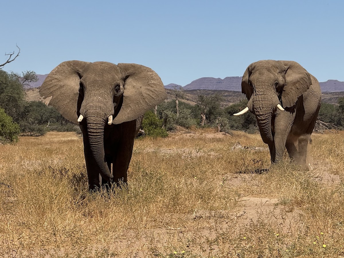 Ekima Afrika Travel — tour operator in Cape Town, South Africa – photo 3
