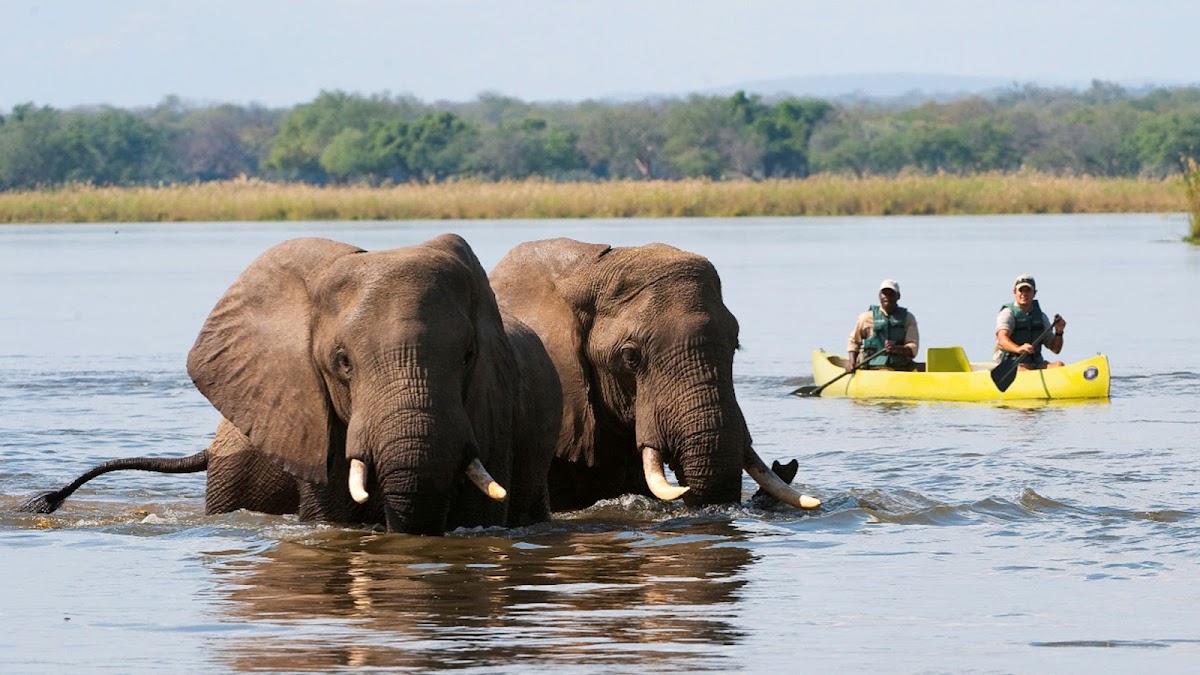 Stars Tour & Travel Services — tour operator in Makeni Rd, Zambia – photo 1
