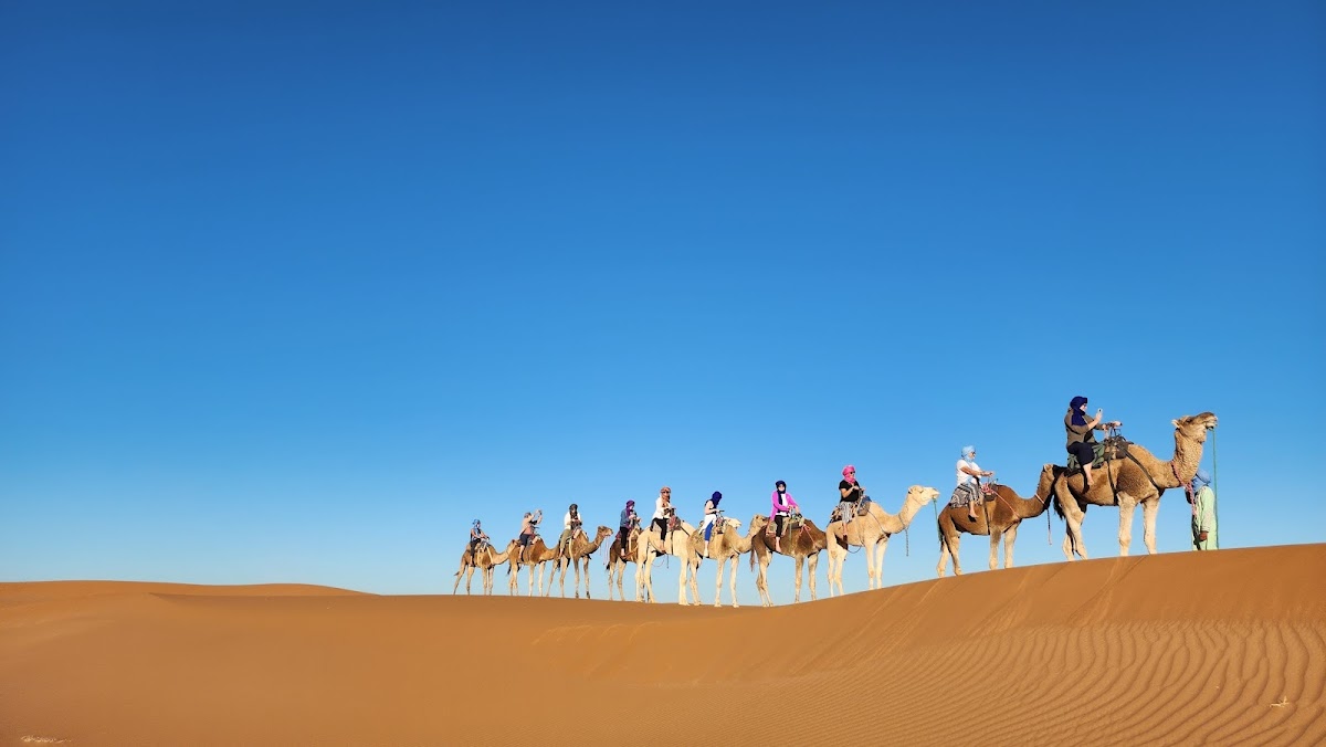 Marrakech Private Tour Guide — tour operator in Marrakesh 40000, Morocco – photo 1