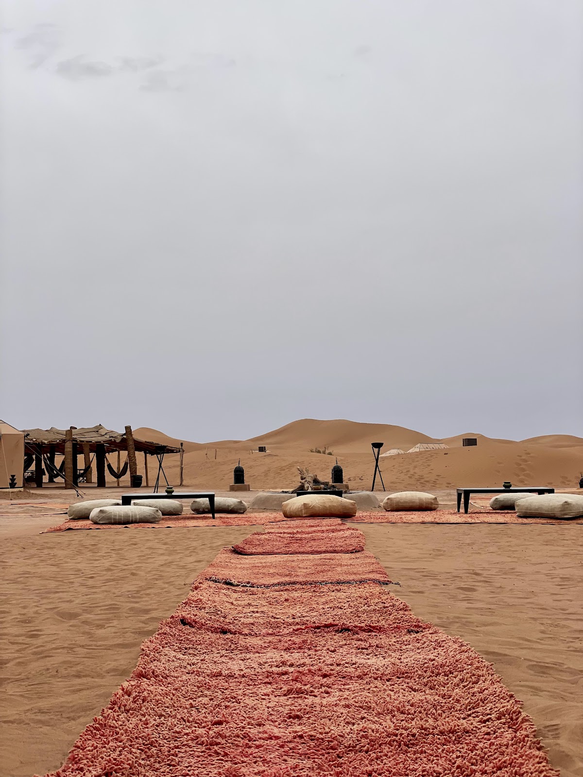 Marrakech Private Tour Guide — tour operator in Marrakesh 40000, Morocco – photo 2