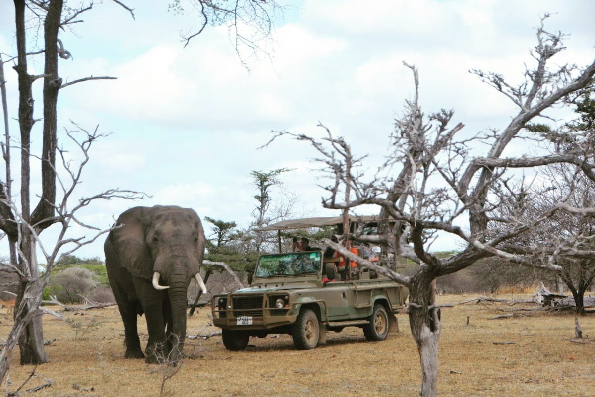 Uwanda Tours And Safaris — tour operator in Dar es Salaam, Tanzania – photo 1