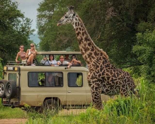 Uwanda Tours And Safaris — tour operator in Dar es Salaam, Tanzania – photo 4