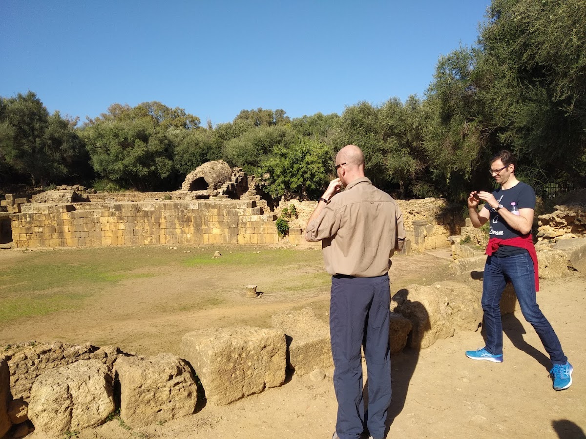 Algeria Tours 16 — tour operator in Sidi M'Hamed 16000, Algeria – photo 3