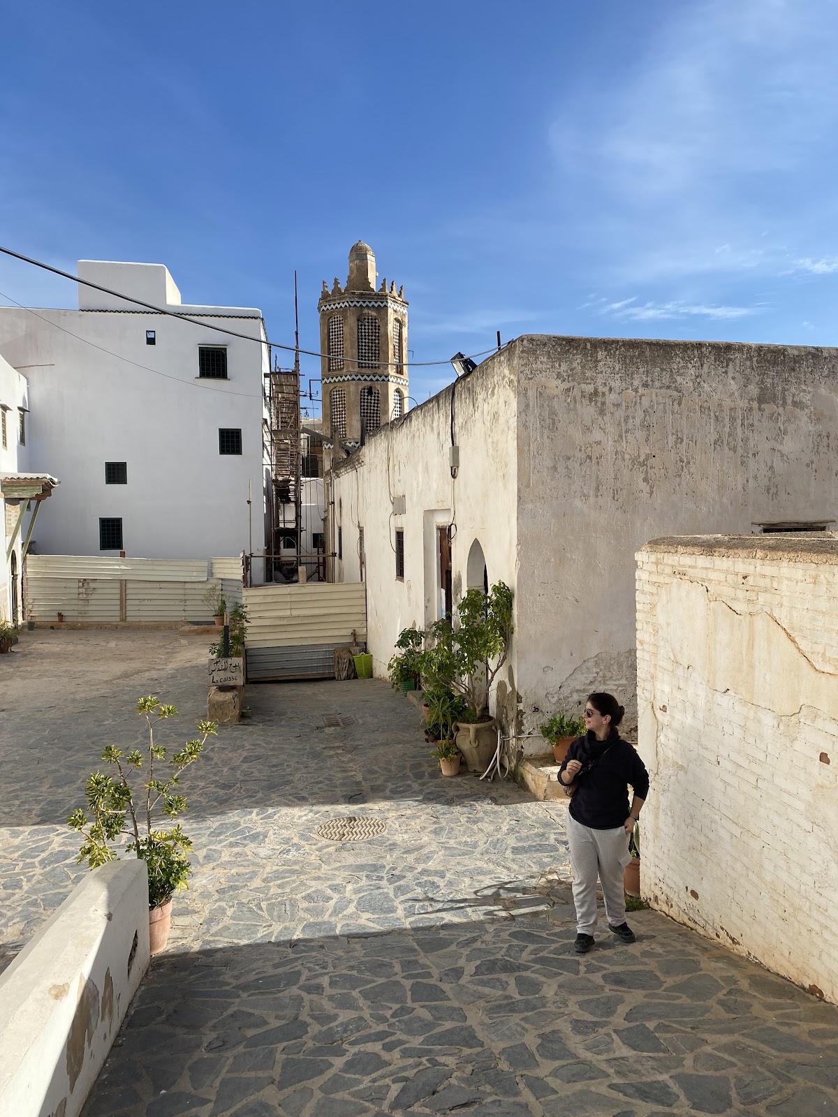 Algeria Tours 16 — tour operator in Sidi M'Hamed 16000, Algeria – photo 1