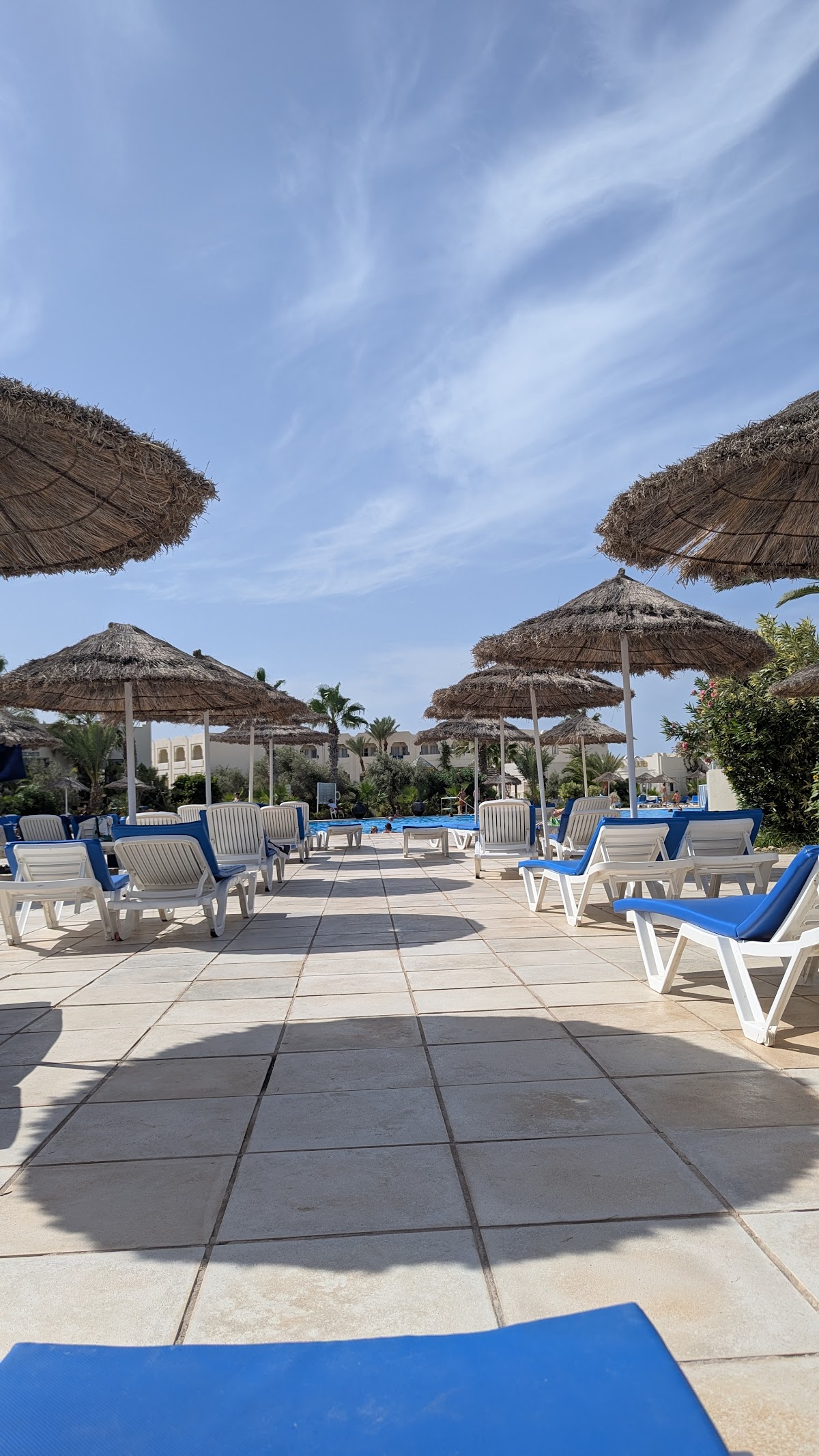 Happy Tours & Events — tour operator in 11 Rue Turki Kaddour, Algeria – photo 1