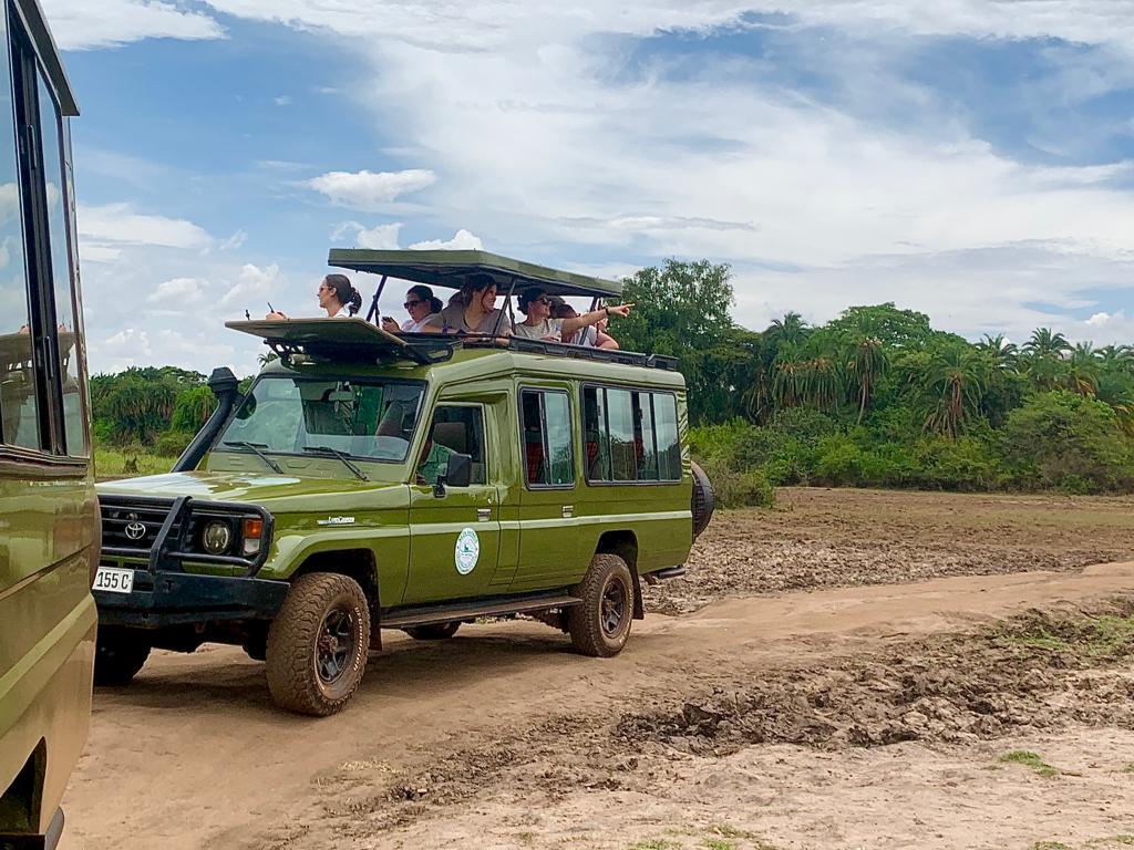 Neza SAFARIS — tour operator in 23 KN 4 Ave, Rwanda – photo 1