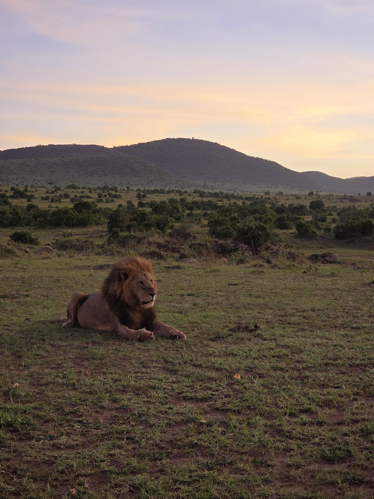 Safari Update Travels Ltd. — tour operator in City market, Kenya – photo 2
