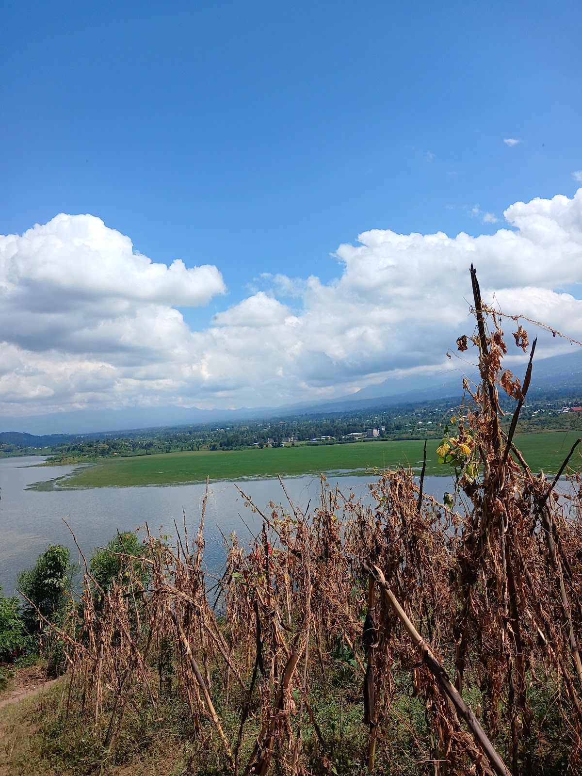 Eco Terra Vista Tours — tour operator in Musanze, Rwanda – photo 2