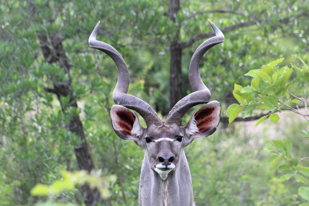 Divine Africa Tours & Travel — tour operator in Cape Town, South Africa – photo 6