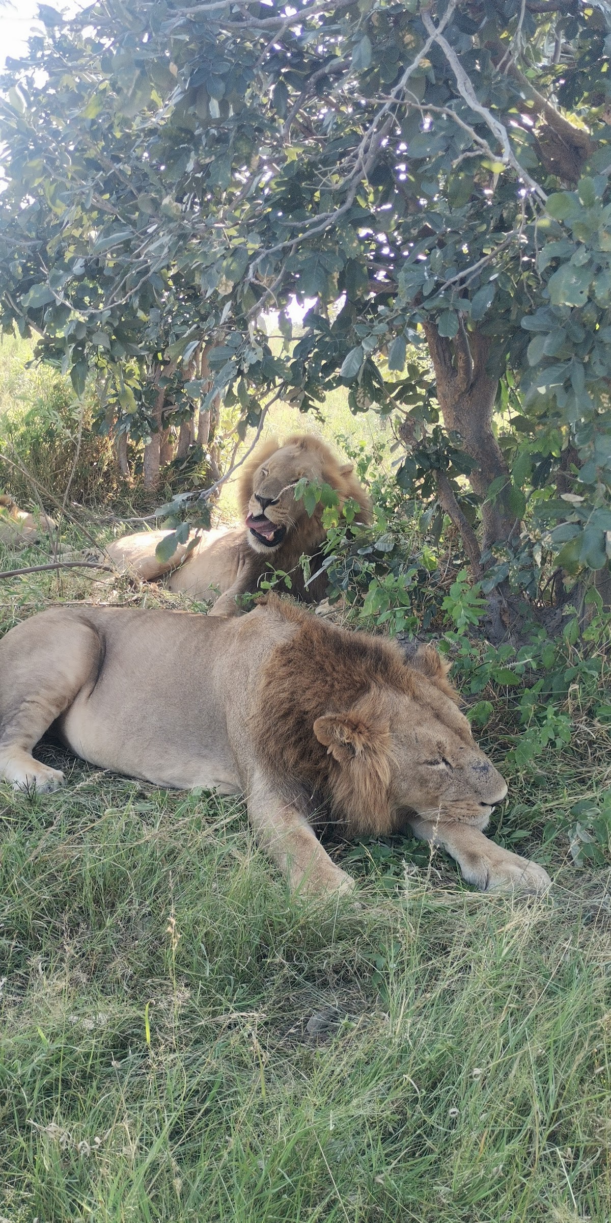 Keya Botswana Travel Agency — tour operator in Matlapana, Botswana – photo 4
