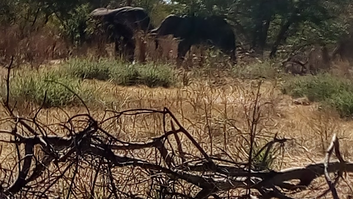Bantu Pathfinders — tour operator in Mosi -O- Tunya Road NAPSA House Livingstone, Zambia – photo 1