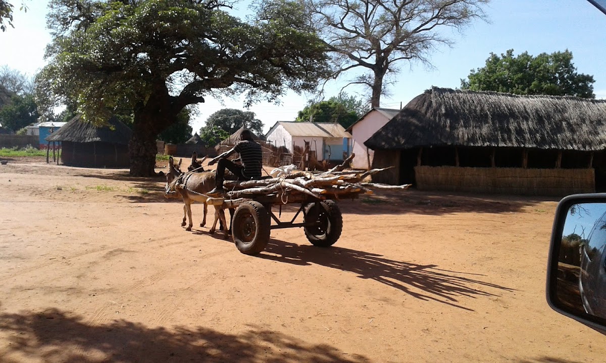 Bantu Pathfinders — tour operator in Mosi -O- Tunya Road NAPSA House Livingstone, Zambia – photo 4