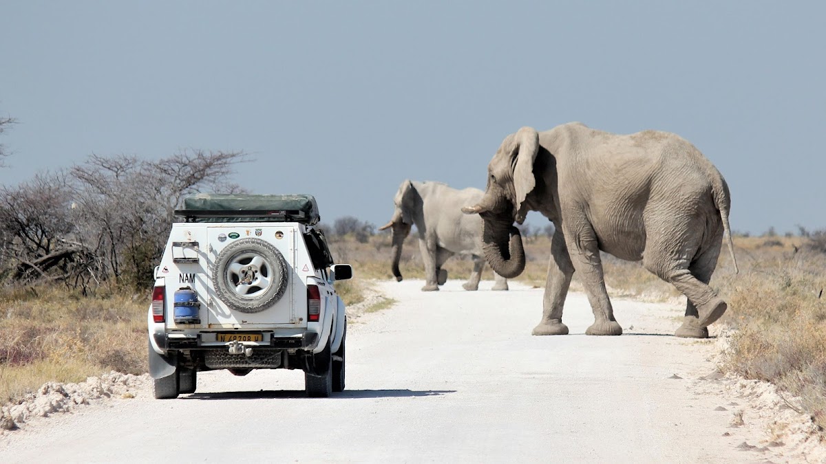 Secret Namibia — tour operator in 13001, Namibia – photo 2