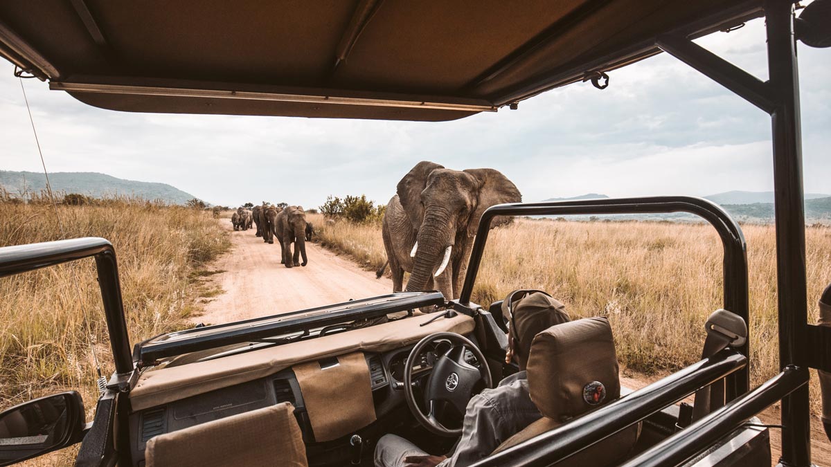 Secret Namibia — tour operator in 13001, Namibia – photo 4