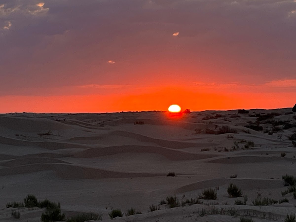 Sahara Activity | Your Gateway to Desert Adventures — tour operator in Zone Touristique، دوز 4260, Tunisia – photo 3