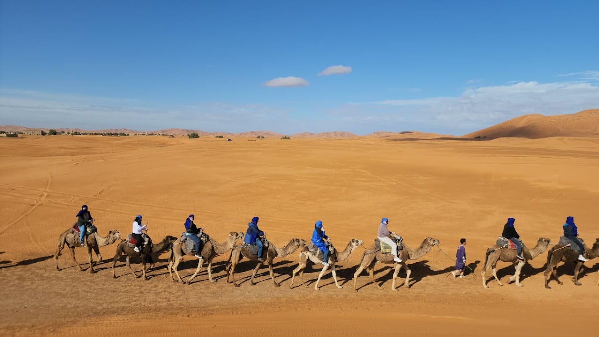 Discover Morocco Tours — tour operator in N°70 Rue Toualat Bab Hilana Marrakech, Morocco – photo 3