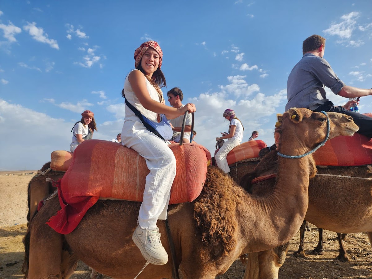 Discover Morocco Tours — tour operator in N°70 Rue Toualat Bab Hilana Marrakech, Morocco – photo 5