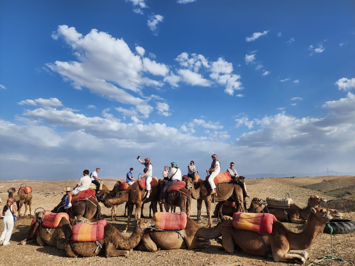 Discover Morocco Tours — tour operator in N°70 Rue Toualat Bab Hilana Marrakech, Morocco – photo 2