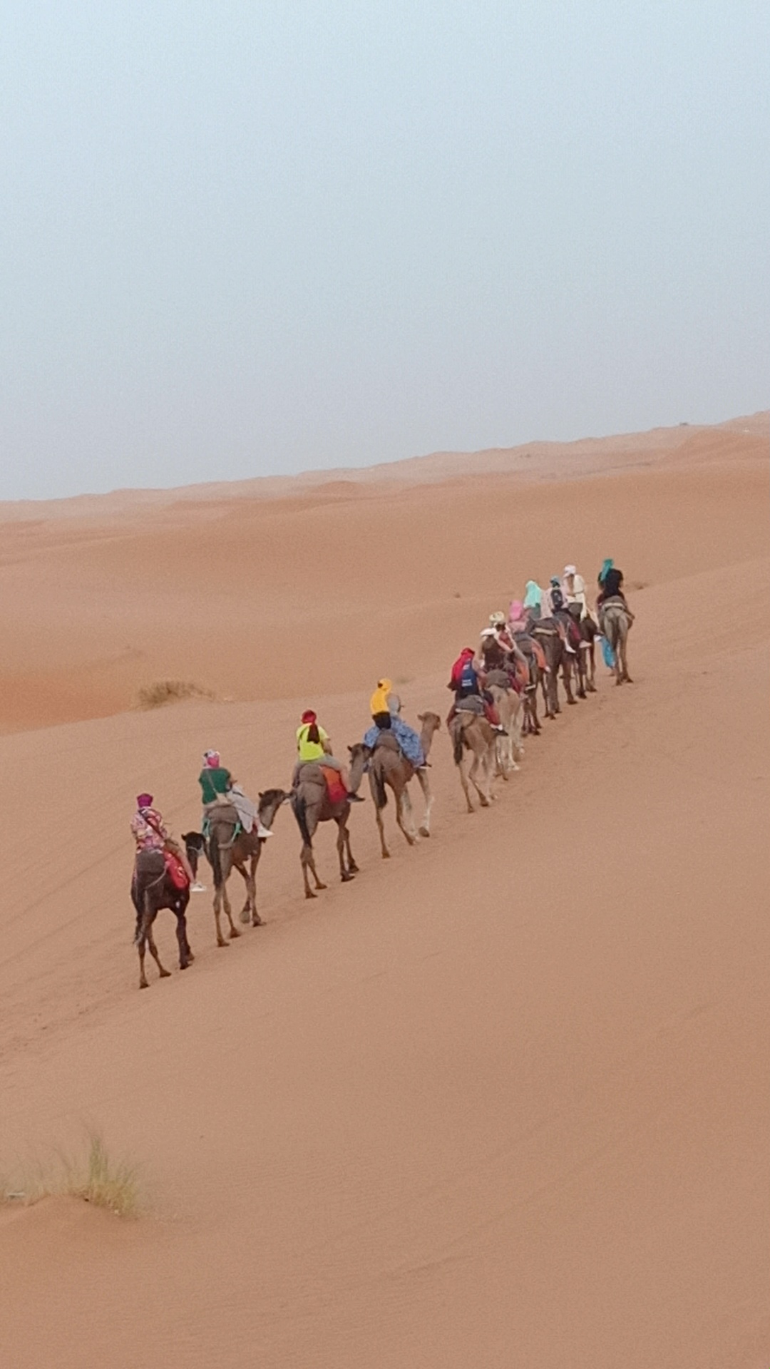 Around Morocco — tour operator in Av. Tarfaya, Morocco – photo 2