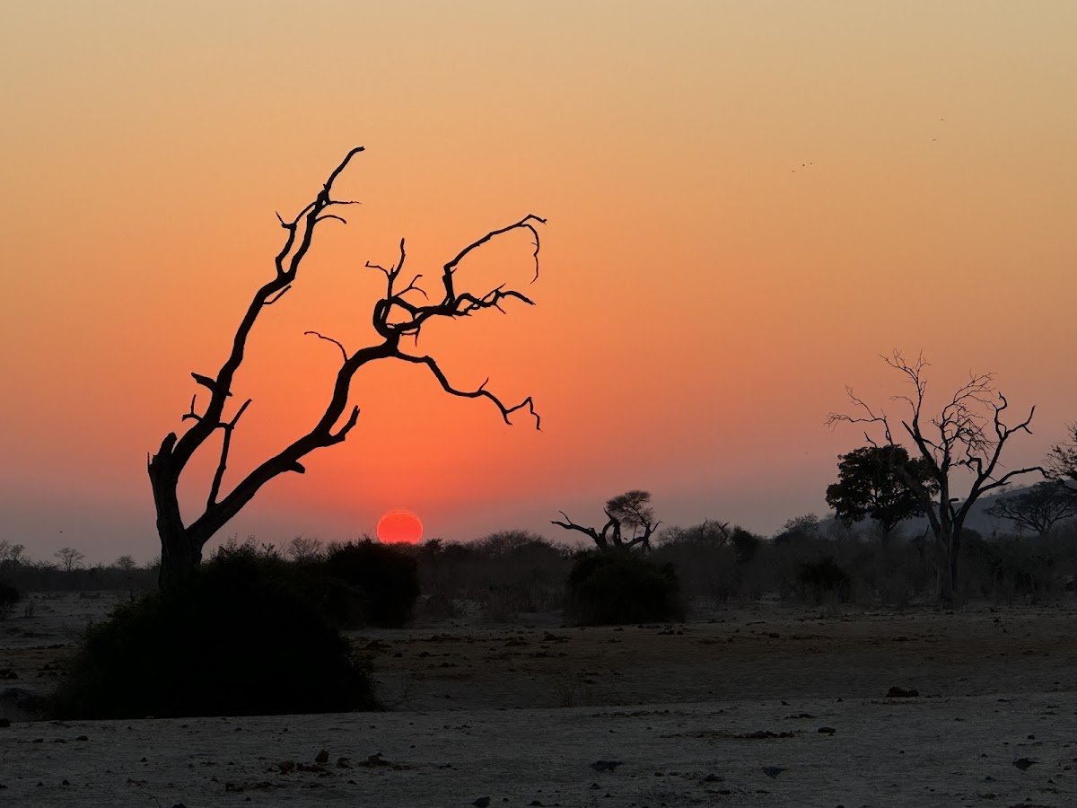 Zazu Epic Safaris | Botswana Mobile Safaris — tour operator in Moremi Game Reserve Road, Botswana – photo 5