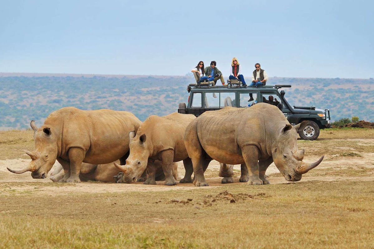 Akagera Safari — tour operator in KN 4 Ave, Rwanda – photo 2