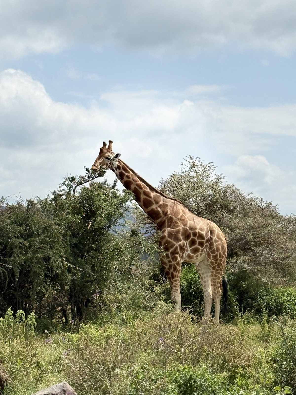 Travel in Style — tour operator in Eldama Ravine Rd, Kenya – photo 2