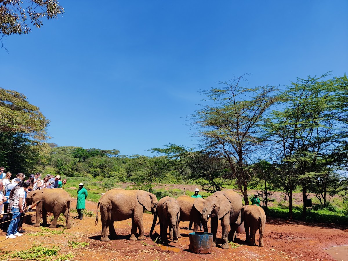 Travel in Style — tour operator in Eldama Ravine Rd, Kenya – photo 1