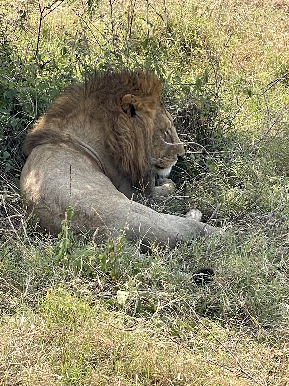 Travel in Style — tour operator in Eldama Ravine Rd, Kenya – photo 3