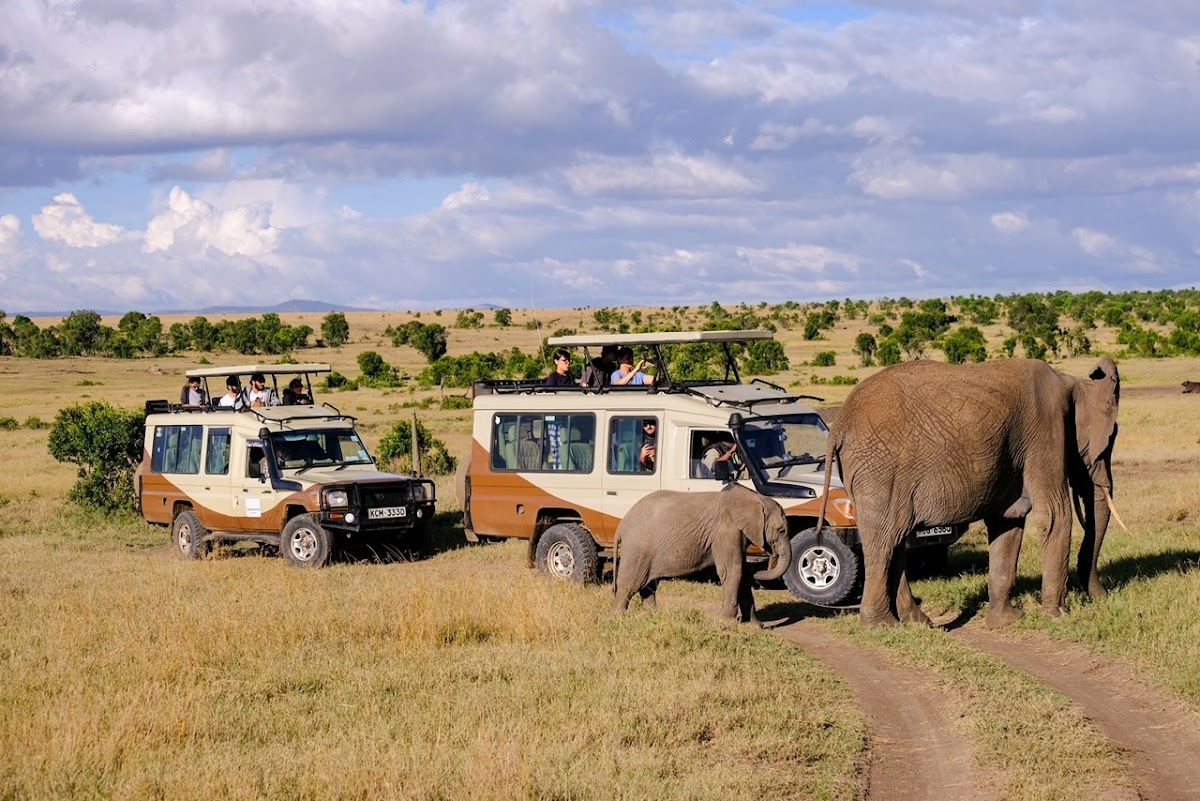 Travel in Style — tour operator in Eldama Ravine Rd, Kenya – photo 6