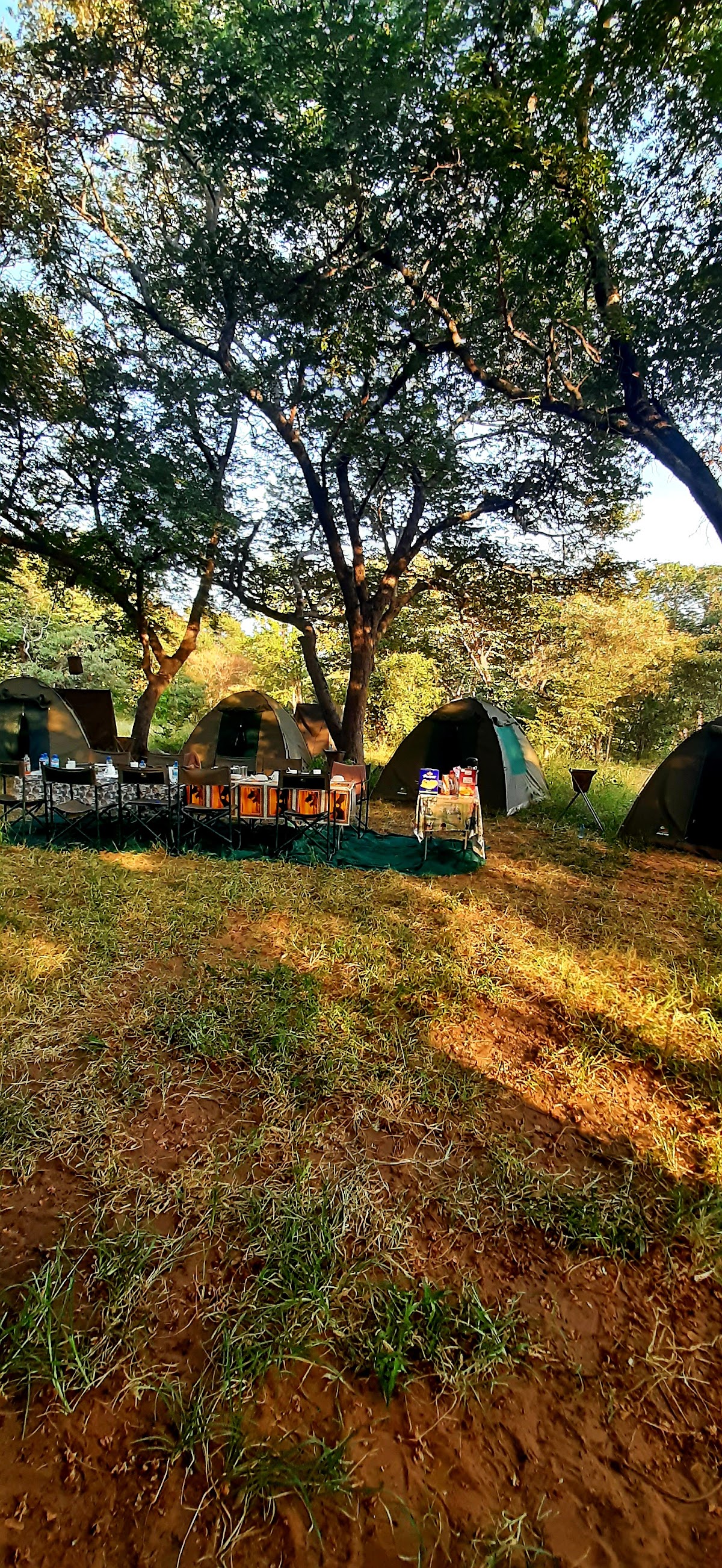 Real Africa Safaris — tour operator in Hunter's mall, Botswana – photo 4