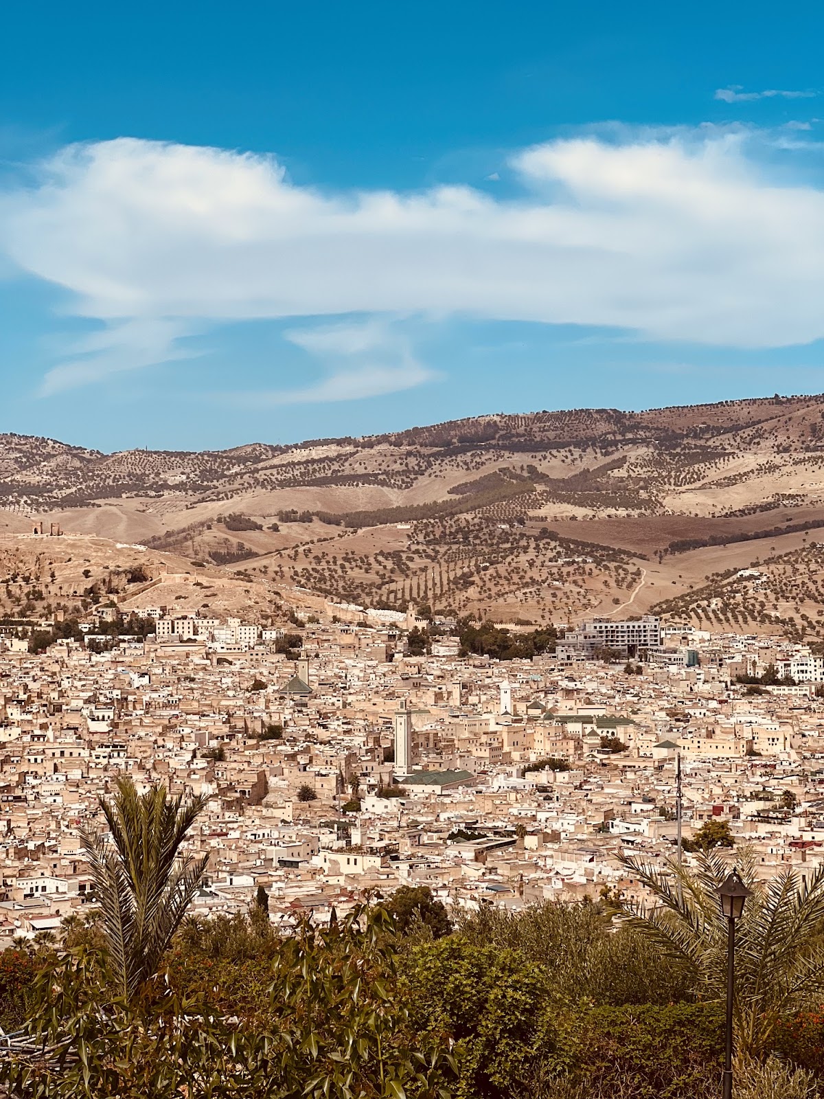 Deep Morocco Tours — tour operator in 2eme Etage, Morocco – photo 2
