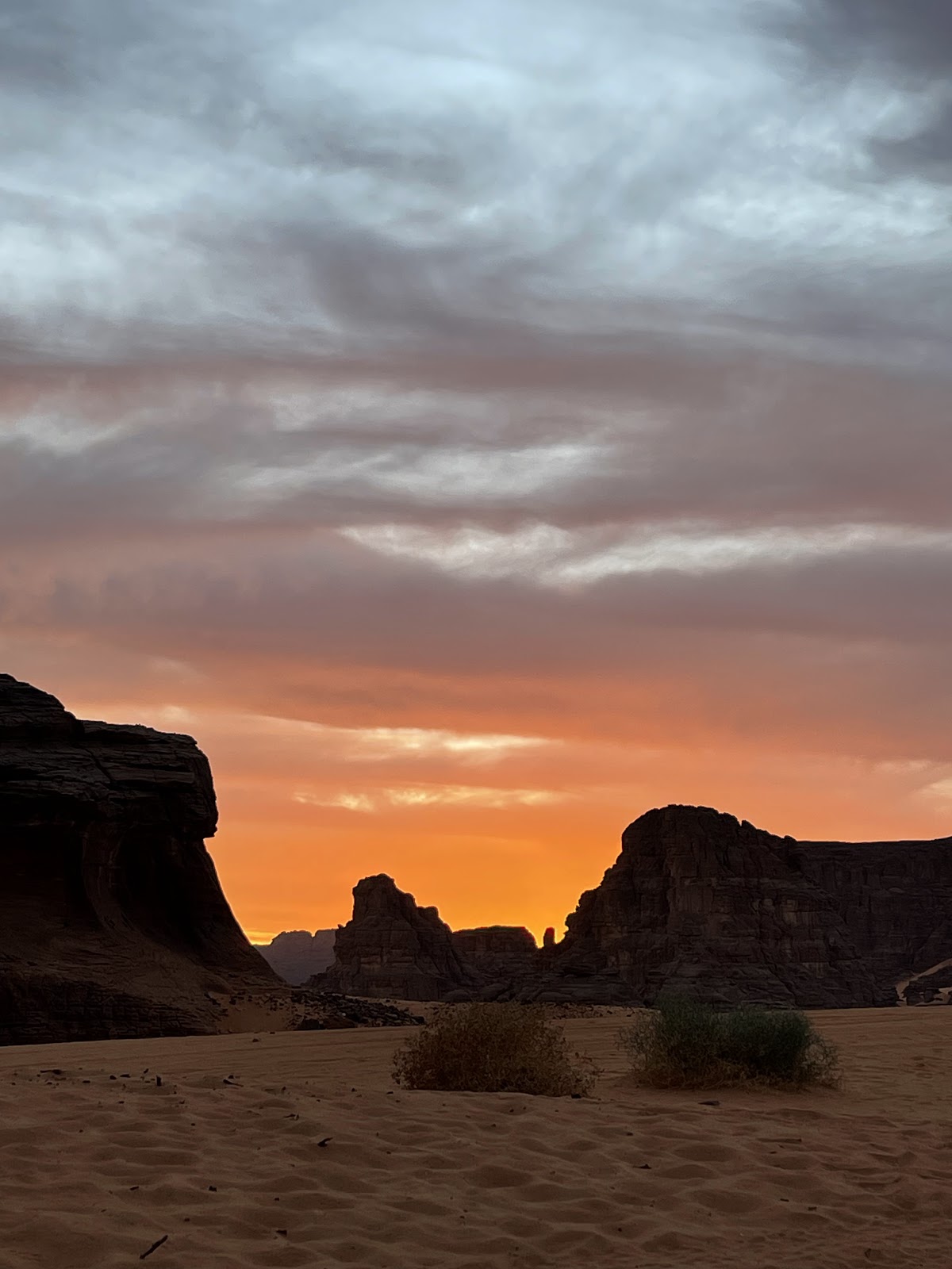 Sahara Africa Tours — tour operator in In aberber, Algeria – photo 1
