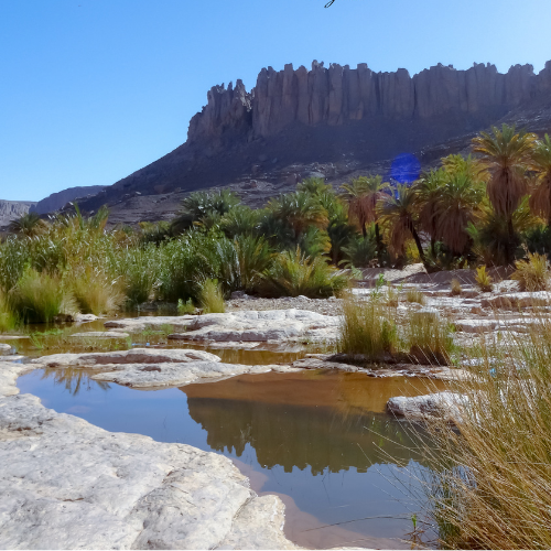 Sahara Africa Tours — tour operator in In aberber, Algeria – photo 6