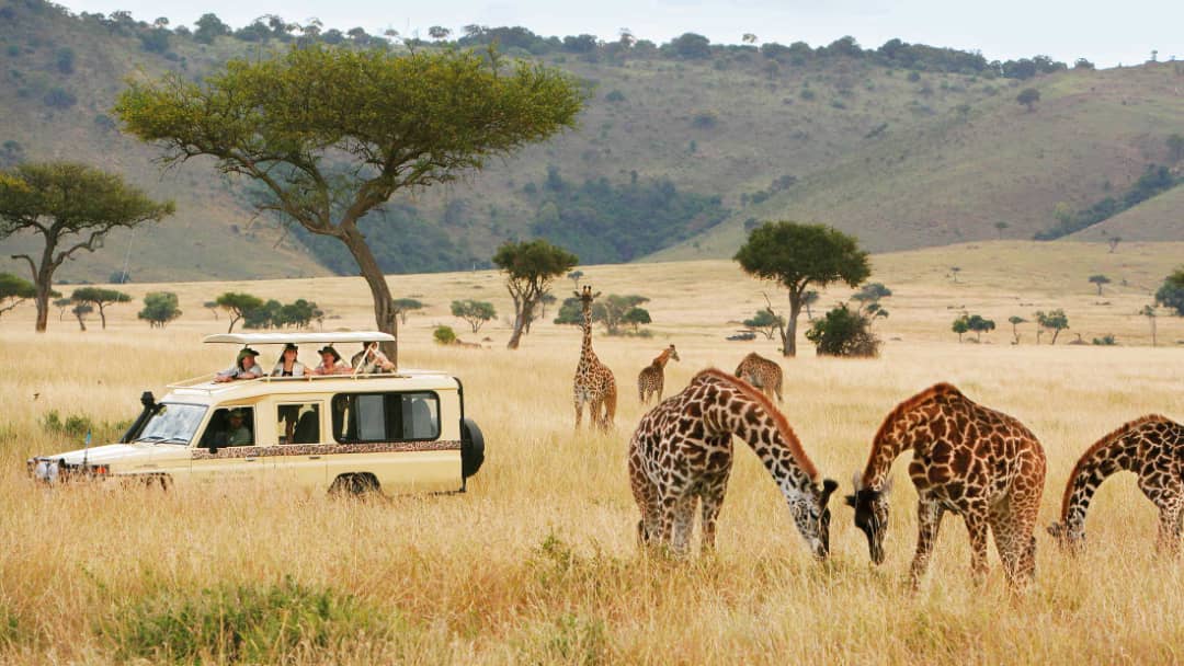 KILIBEST TANZANIA SAFARI TOUR PACKAGES | Kilimanjaro Climbing Group in Moshi -Tanzania | 5-Day Tanzania Safari — tour operator in 25116, Tanzania – photo 2