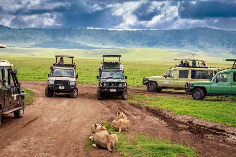 KILIBEST TANZANIA SAFARI TOUR PACKAGES | Kilimanjaro Climbing Group in Moshi -Tanzania | 5-Day Tanzania Safari — tour operator in 25116, Tanzania – photo 1
