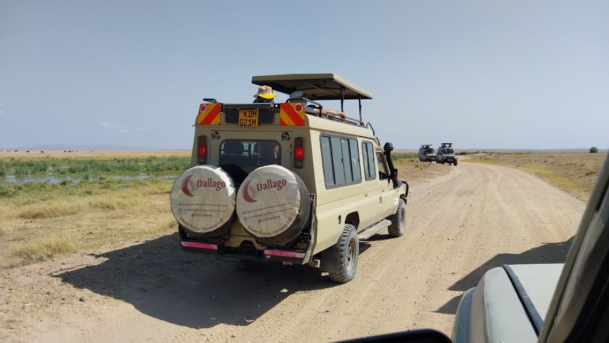 Dallago Tours Kenya-Tanzania Ltd | Safaris in Kenya and Tanzania — tour operator in Off Gitanga Rd, Kenya – photo 1