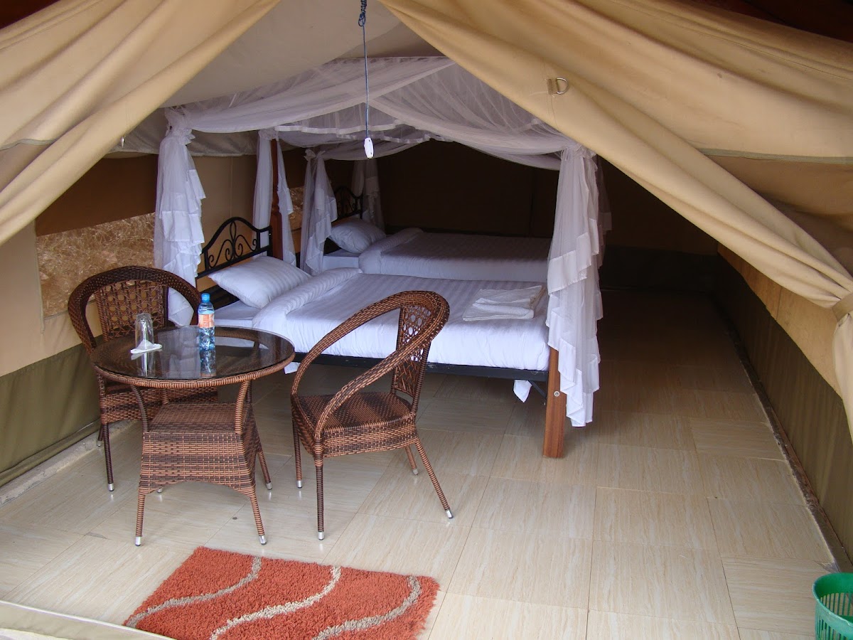 Dallago Tours Kenya-Tanzania Ltd | Safaris in Kenya and Tanzania — tour operator in Off Gitanga Rd, Kenya – photo 5