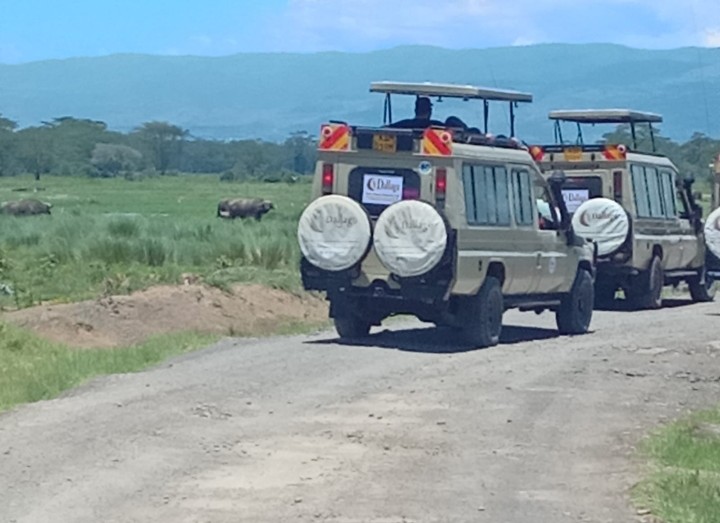 Dallago Tours Kenya-Tanzania Ltd | Safaris in Kenya and Tanzania — tour operator in Off Gitanga Rd, Kenya – photo 6