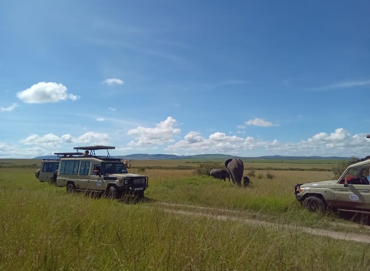 Dallago Tours Kenya-Tanzania Ltd | Safaris in Kenya and Tanzania — tour operator in Off Gitanga Rd, Kenya – photo 4