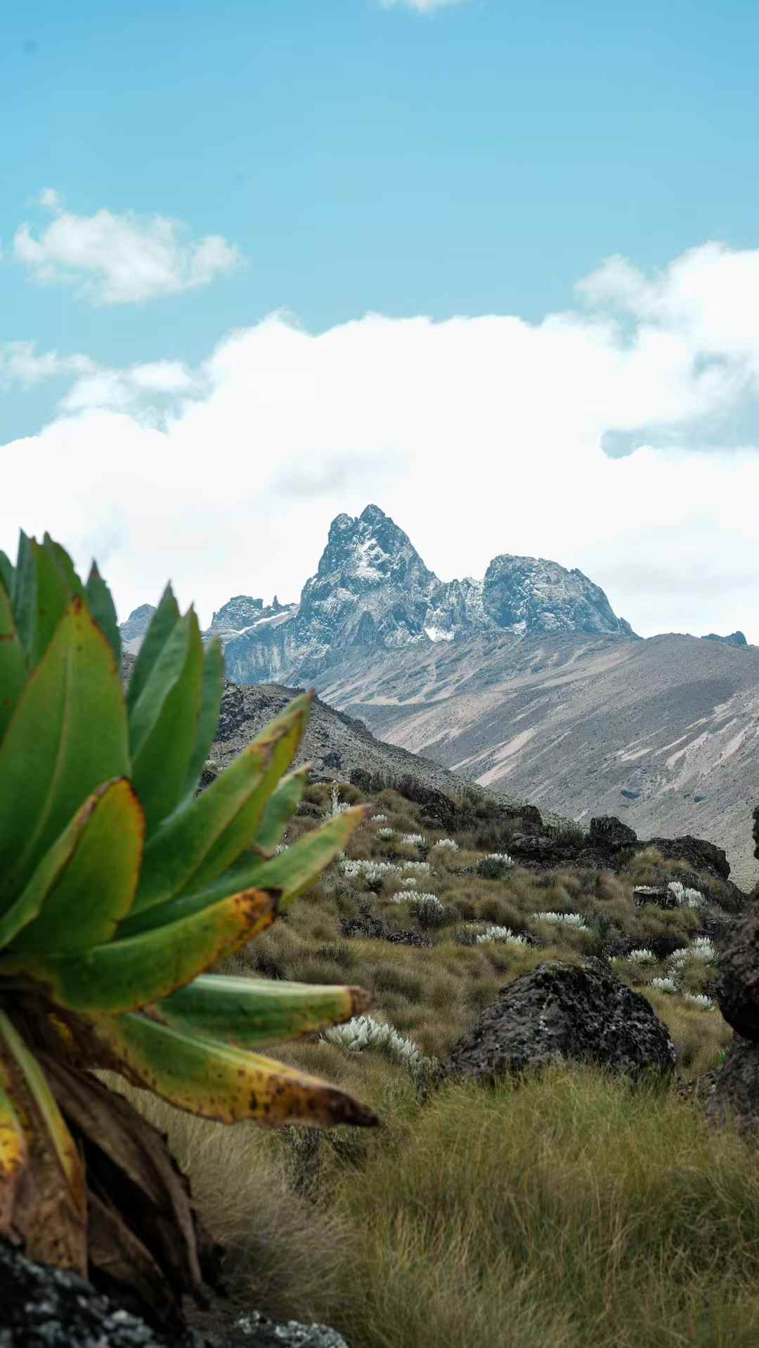 Mount Kenya Treks and Safaris — tour operator in Timau, Kenya – photo 4