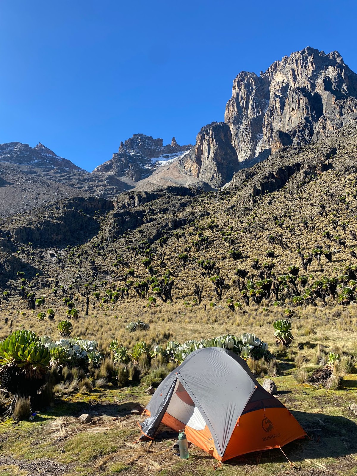 Mount Kenya Treks and Safaris — tour operator in Timau, Kenya – photo 1