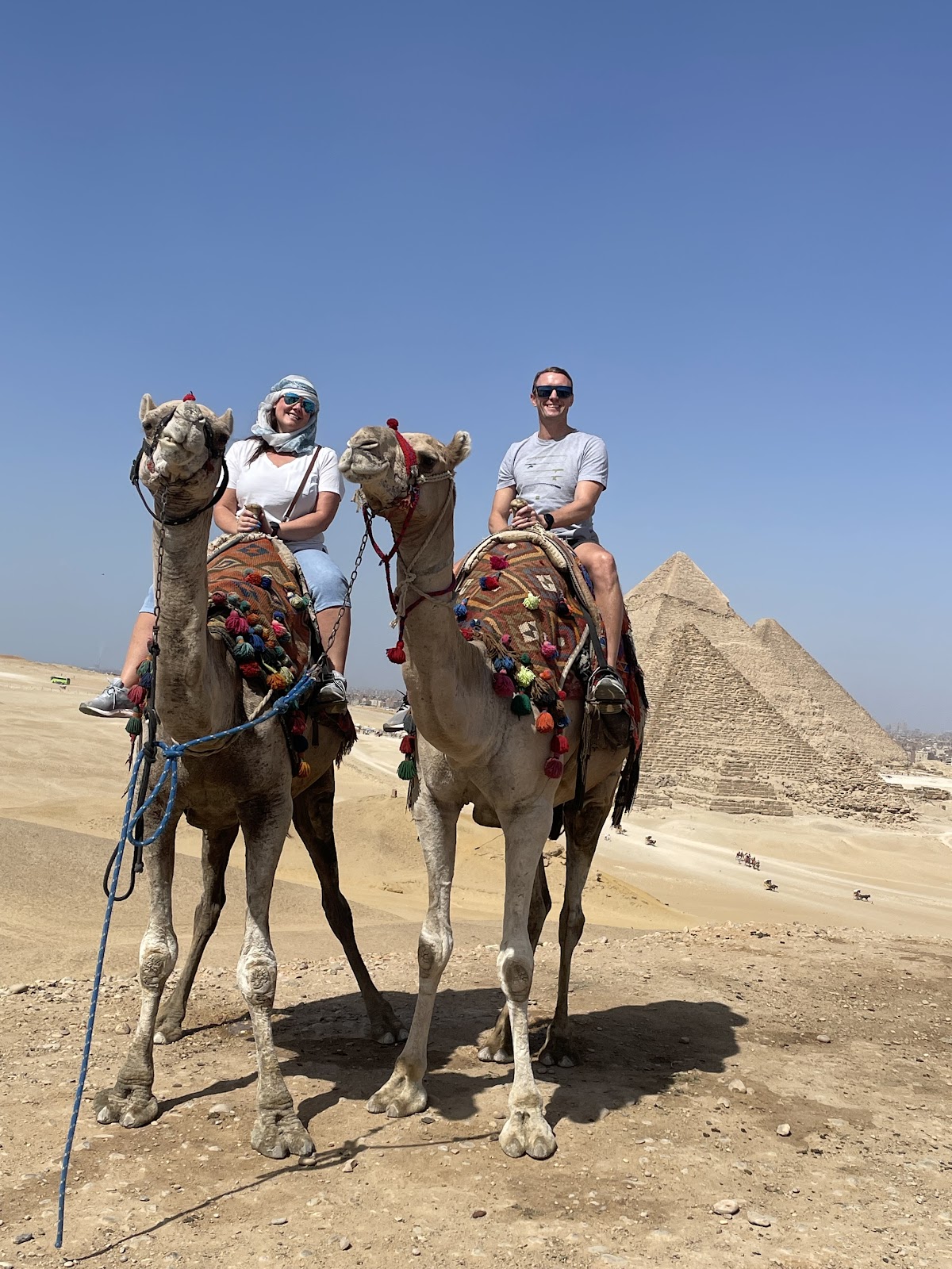 Your Egypt Tours — tour operator in El Arabia, Egypt – photo 1