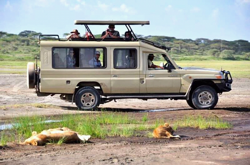 Home Rwanda Safaris — tour operator in KG 17 Ave, Rwanda – photo 6