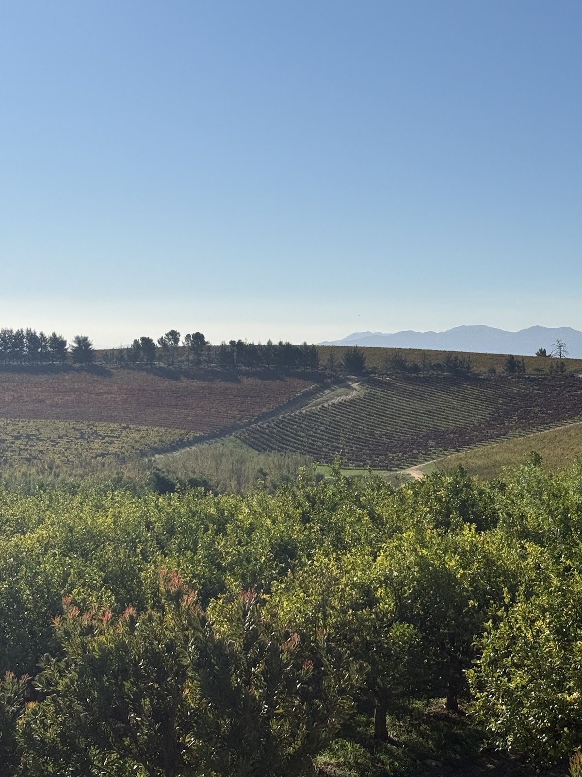 Cullinan Guided Journeys — tour operator in Cape Town, South Africa – photo 1