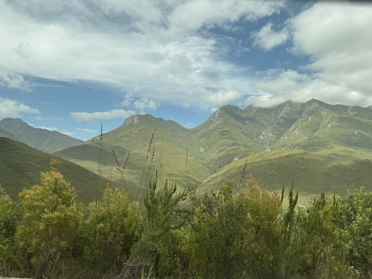 Cullinan Guided Journeys — tour operator in Cape Town, South Africa – photo 5