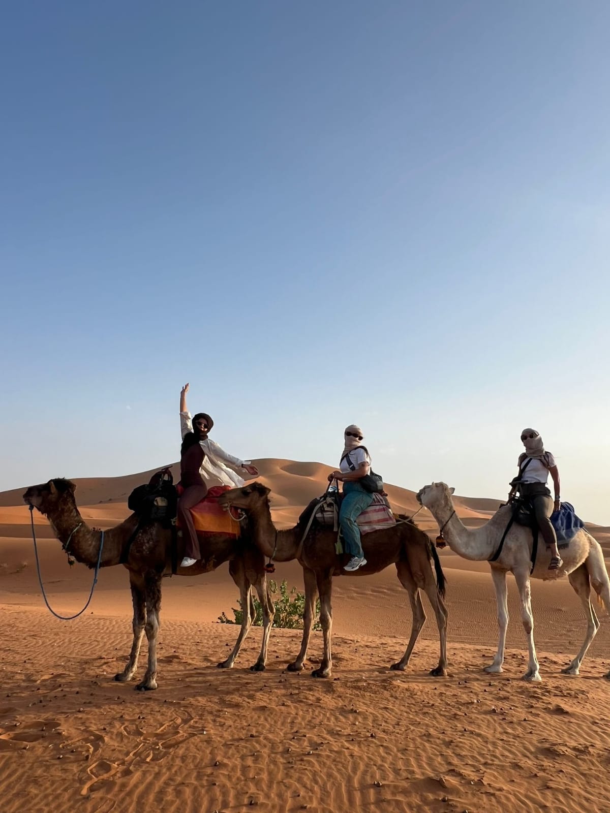 Morocco Tours Company — tour operator in Mohamed 5, Morocco – photo 1
