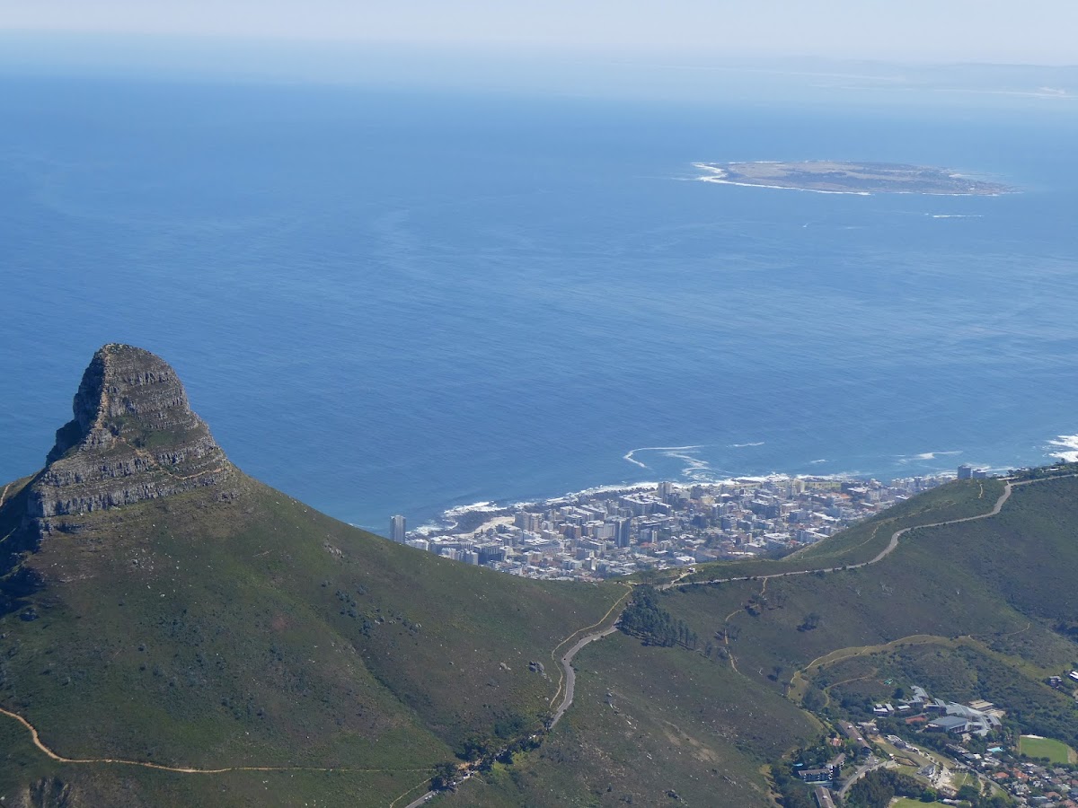 The Travel Café Cape Town — tour operator in Cape Town, South Africa – photo 3