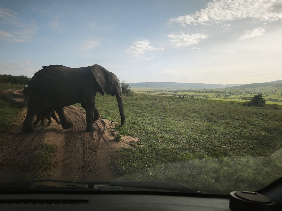Africa Budget Tour - Affordable Safaris in Kenya & Across Africa — tour operator in Koinange St, Kenya – photo 4