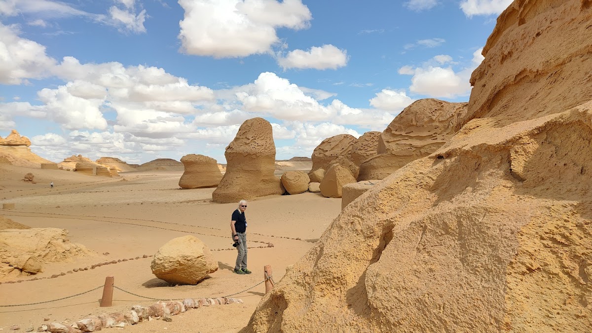 White Desert Tour — tour operator in احمد فليكس، Al Wahat Al Baharia, Egypt – photo 1