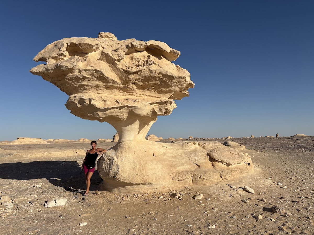 White Desert Tour — tour operator in احمد فليكس، Al Wahat Al Baharia, Egypt – photo 2